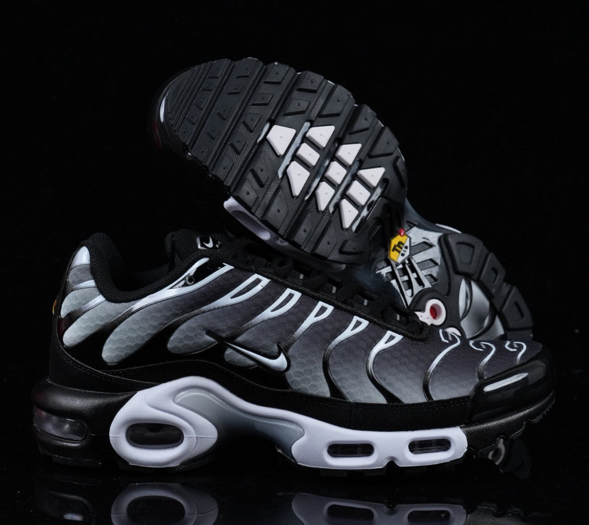 Tn skor