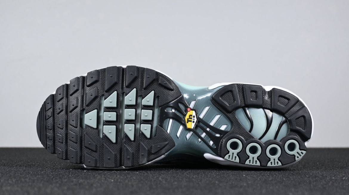 Nike tn skor
