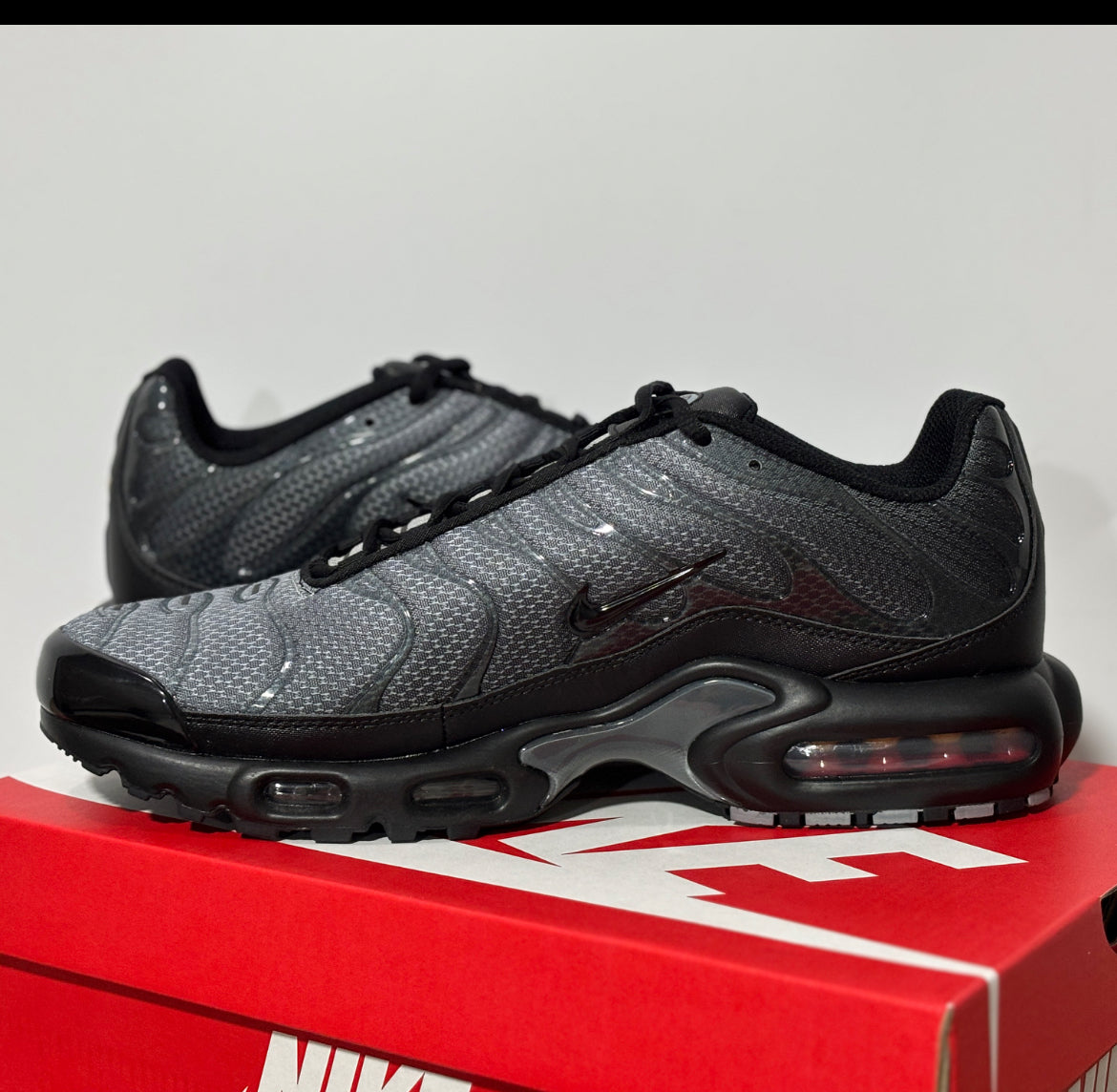 Tn skor