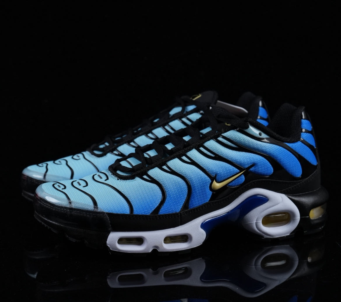 Tn skor