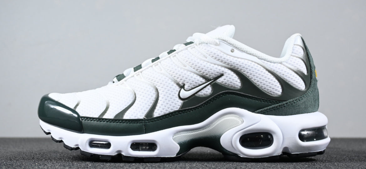 Nike tn skor