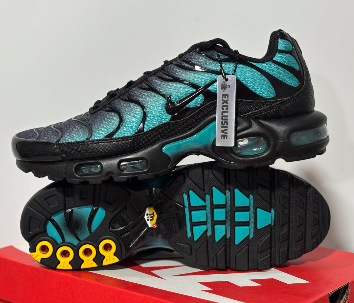Nike Tn shoes